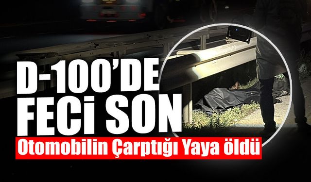 Otomobilin Çarptığı Yaya Hayatını Kaybetti!