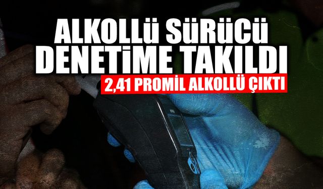Sakarya'da Alkollü Sürücü Denetime Takıldı