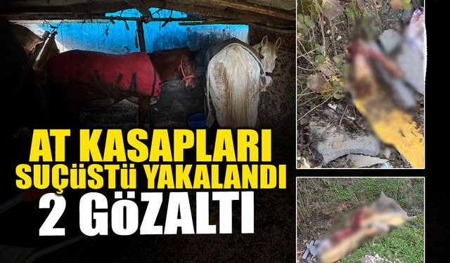 At Kasapları Suçüstü Yakalandı!