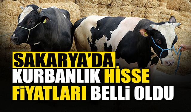 Sakarya'da 2026 Kurbanlık Hisse Fiyatları Belli Oldu