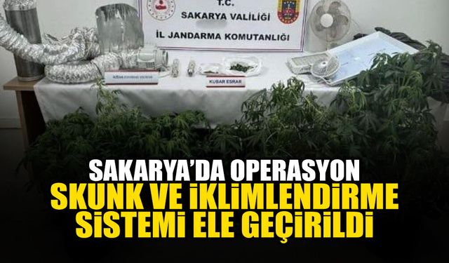 Sakarya'da Skunk ve İklimlendirme Sistemi Ele Geçirildi!