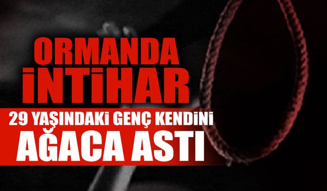 Sakarya'da Acı Olay: 29 Yaşındaki Genç Ormanda Kendini Astı