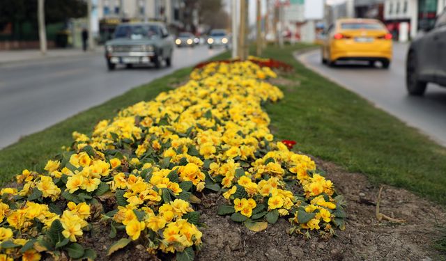 Sakarya Bayram İçin Büyükşehirle Çiçek Açtı