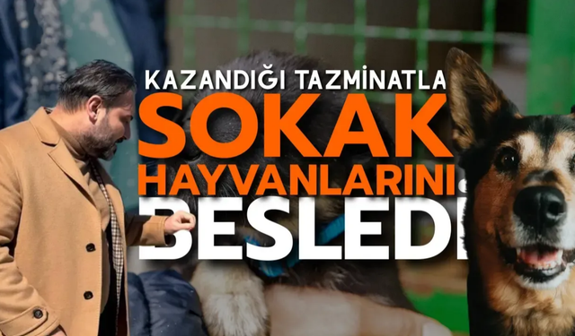 Nejdet Tıskaoğlu, Ali Rıza Tığ’dan Kazandığı Tazminatla Sokak Hayvanlarına Mama Aldı
