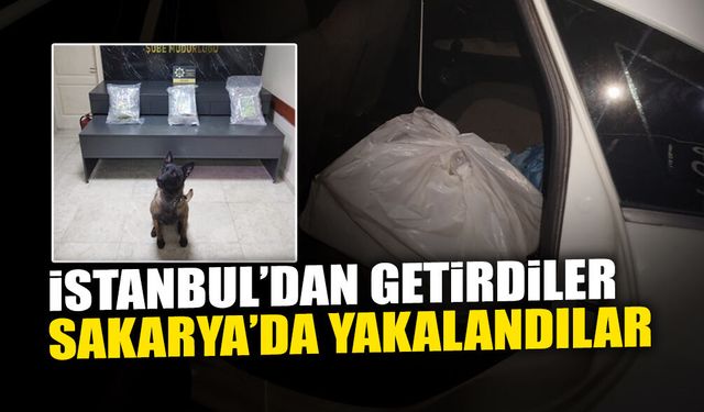 İstanbul’dan Getirdiler, Sakarya’da Yakalandılar