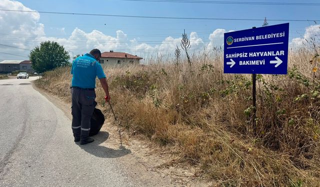 Serdivan’da Yol Kenarlarında Temizlik Mesaisi
