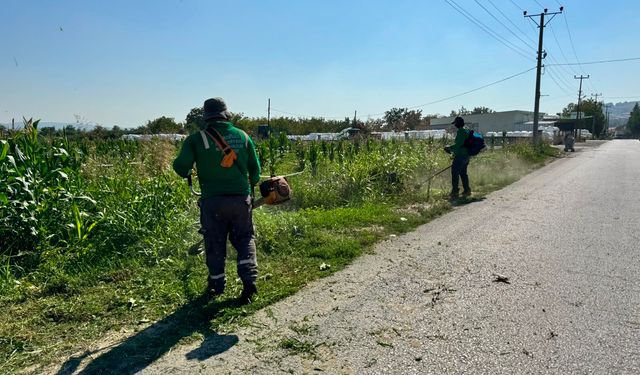 Yol Kenarlarında Kapsamlı Bakım ve Ot Temizliği