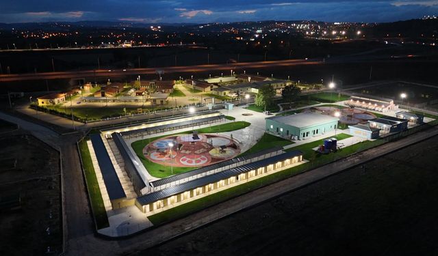 Pati İzi, 700’ü Aşkın Patili Dostu Yeni Yuvasına Kavuşturdu