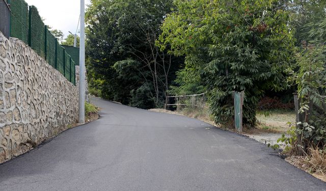 Sapanca’daki Asfalt Mesaisinin 3’ncü Adresi Şükriye Mahallesi Oldu