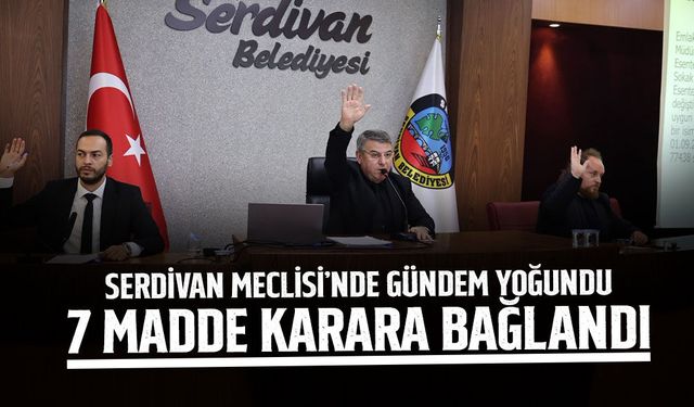 Serdivan Meclisi’nde 7 Madde Karara Bağlandı