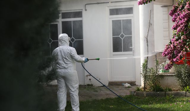 Erenler Belediyesi Kahverengi Kokarca İlaçlamasına Devam Ediyor