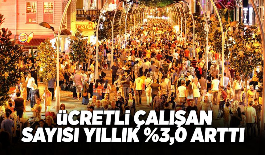 Ücretli Çalışan Sayısı Yıllık %3,0 Arttı