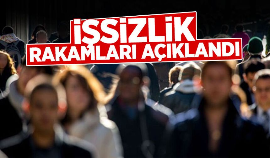 TÜİK İşsizlik Rakamlarını Açıklandı: 1,7 Arttı