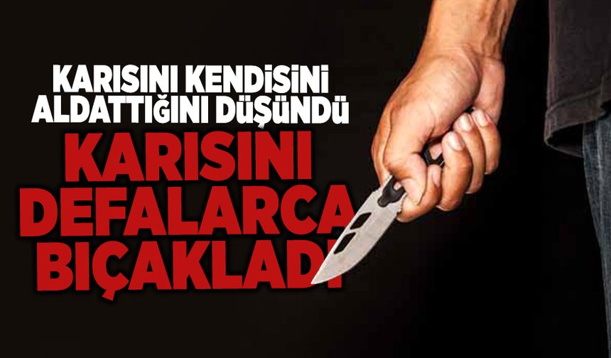 Kan Donduran Olay! Karısını Defalarca Bıçakladı