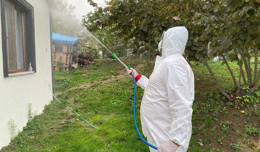 Erenler'de Kokarcaya Yönelik Mücadele Devam Ediyor