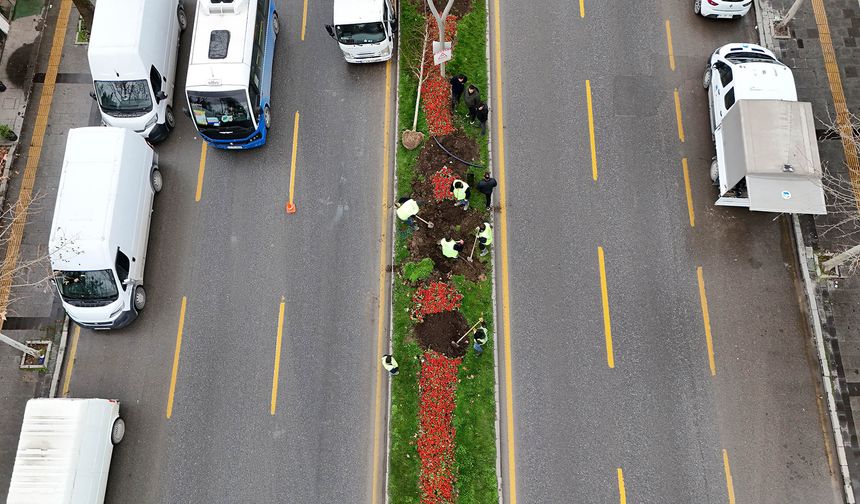 Büyükşehir’in ‘Yeşil Şehir’ Vizyonu Sahada: 3 Ayda 2 Bin 500 Ağaç Toprakla Buluştu