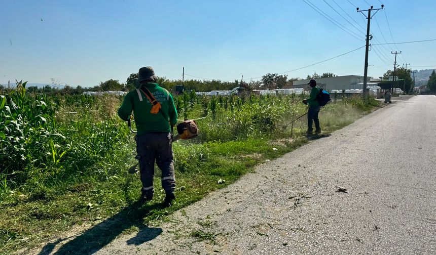 Yol Kenarlarında Kapsamlı Bakım ve Ot Temizliği