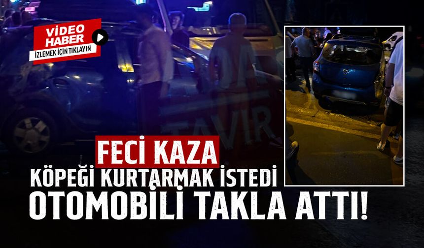 Feci Kaza: Köpeği Çarpmamak İçin Taklalar Attı!