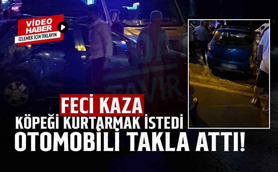 Feci Kaza: Köpeği Çarpmamak İçin Taklalar Attı!