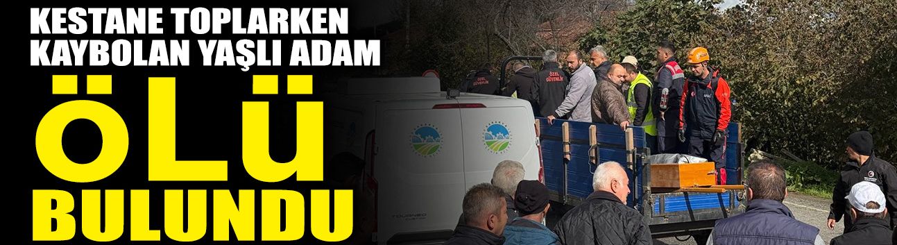 Kestane Toplarken Kaybolan Yaşlı Adam...